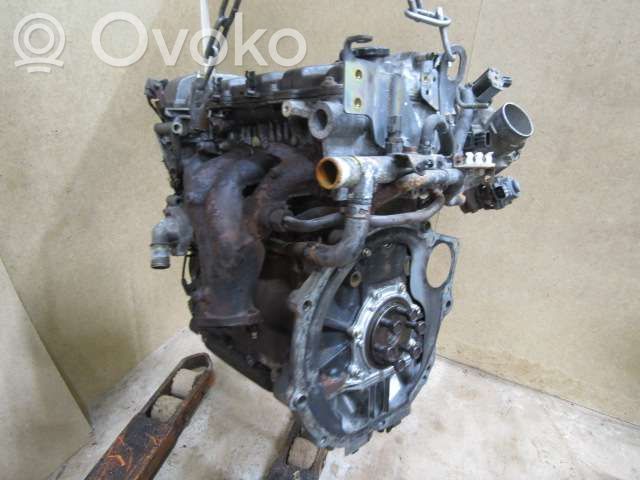 Motor   FP,FP5502300C,FP5502300C
