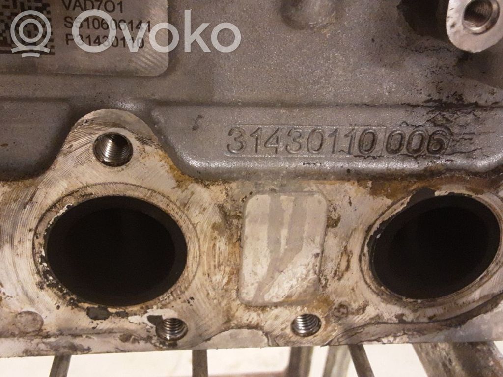 Galvutė   31430110006