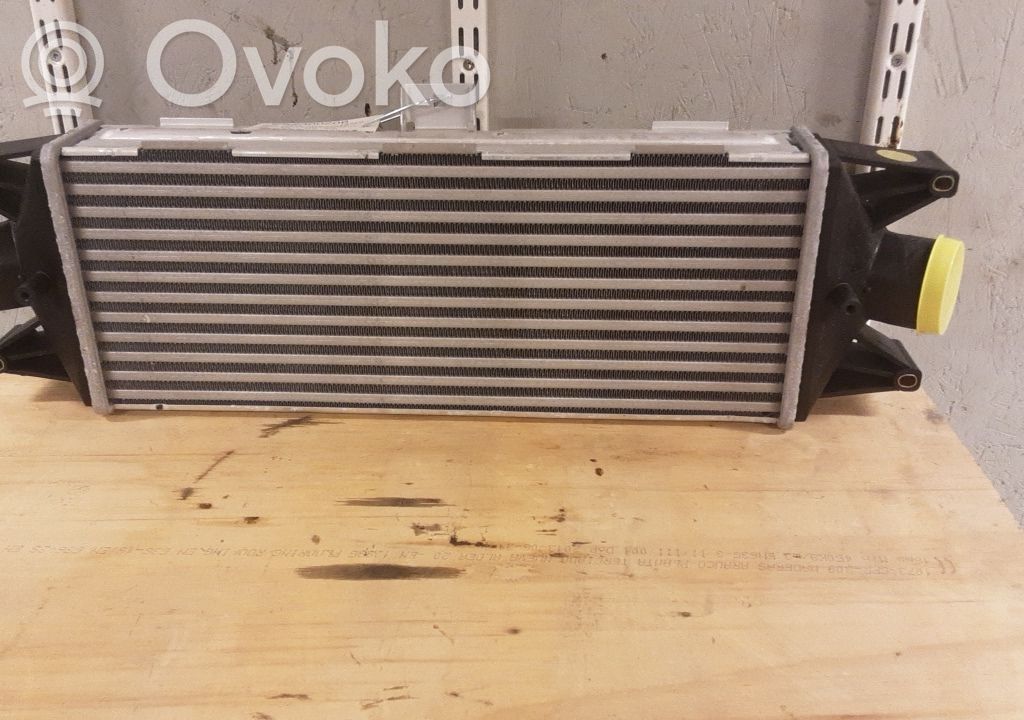 Interkūlerio radiatorius   5801349166