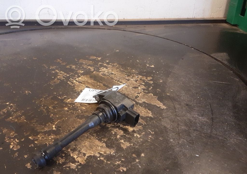 High voltage ignition coil   224332734R