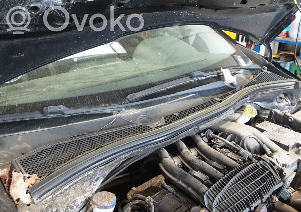 Peugeot 208 I Valytuvų apdaila (-os) 