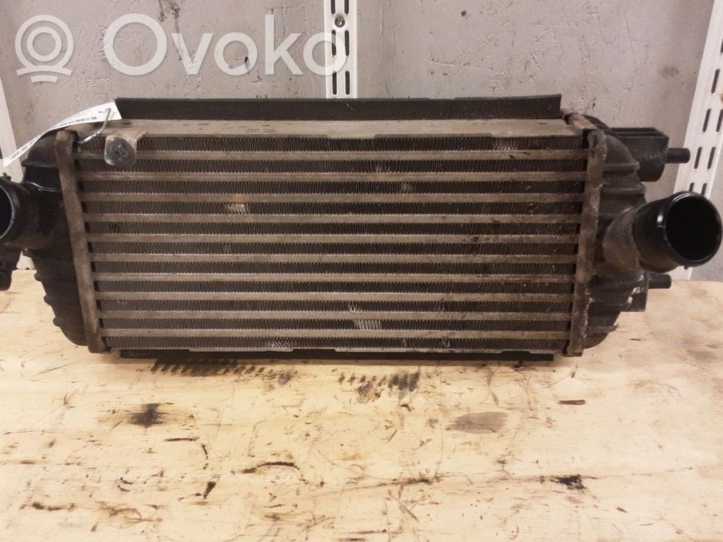 Interkūlerio radiatorius   282712A480