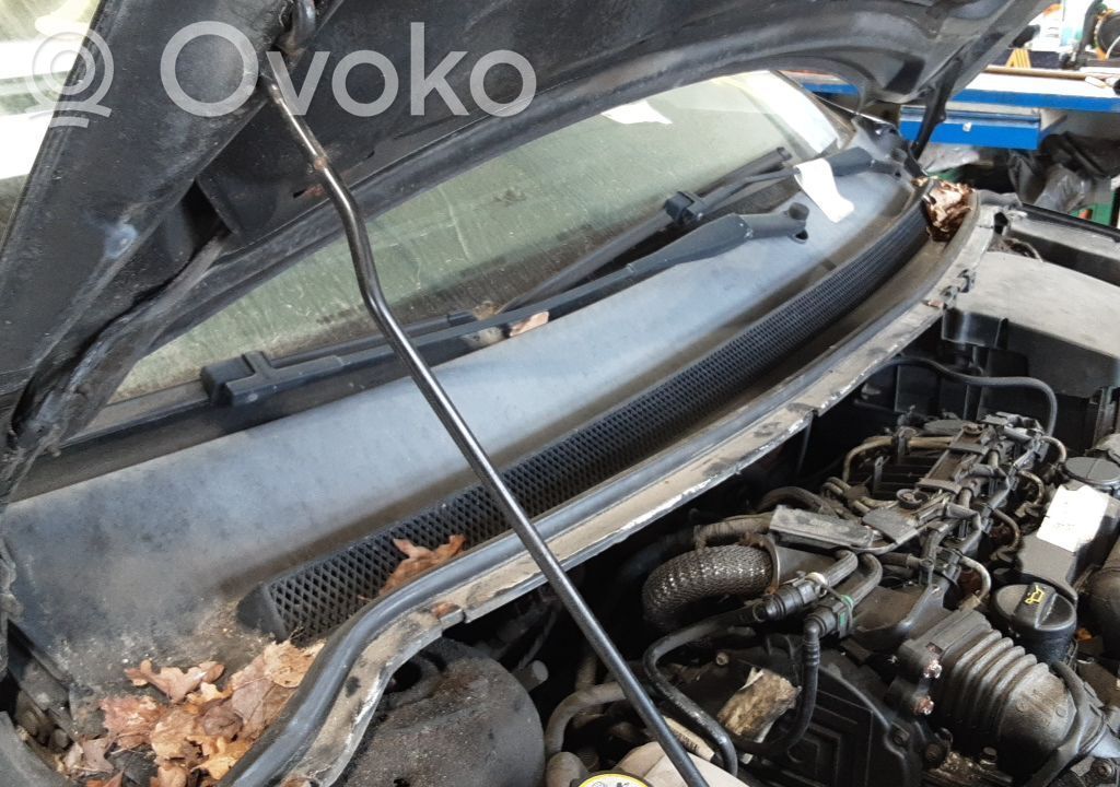 Ford Focus Wiper trim 