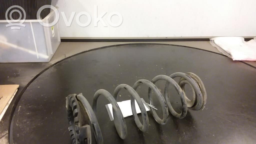 Rear coil spring