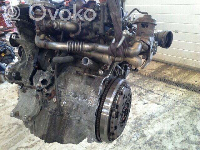 Motor