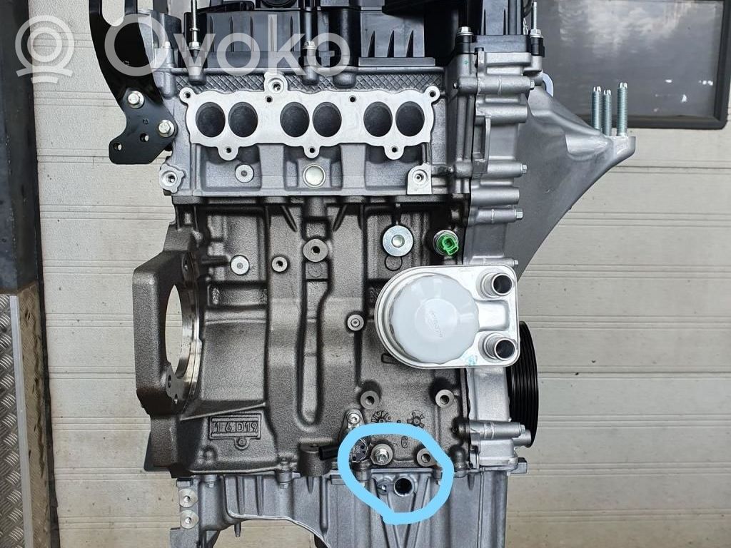 Ford Fiesta Variklis 