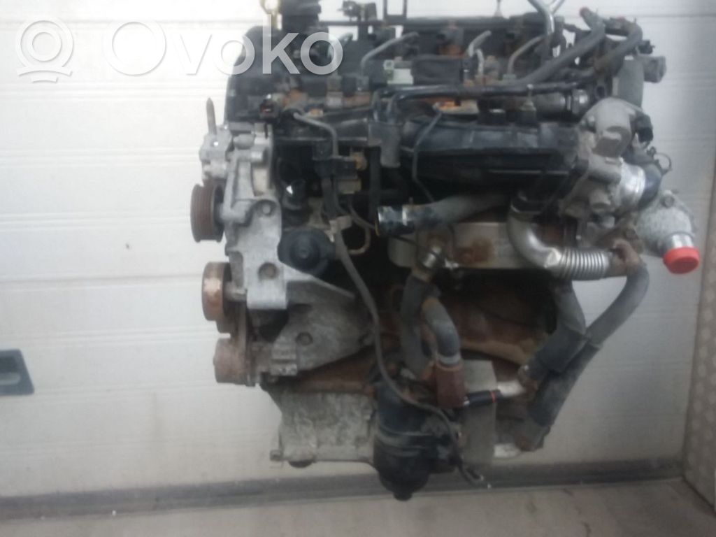 KIA Sportage Variklis 