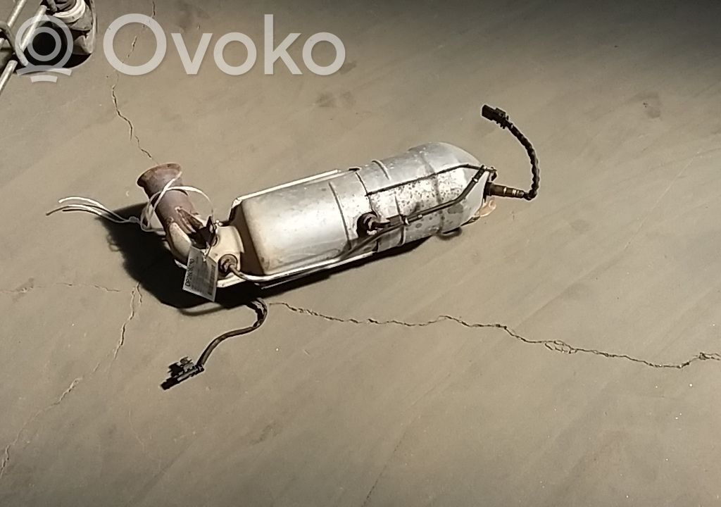 Catalyst/FAP/DPF particulate filter   9834313080