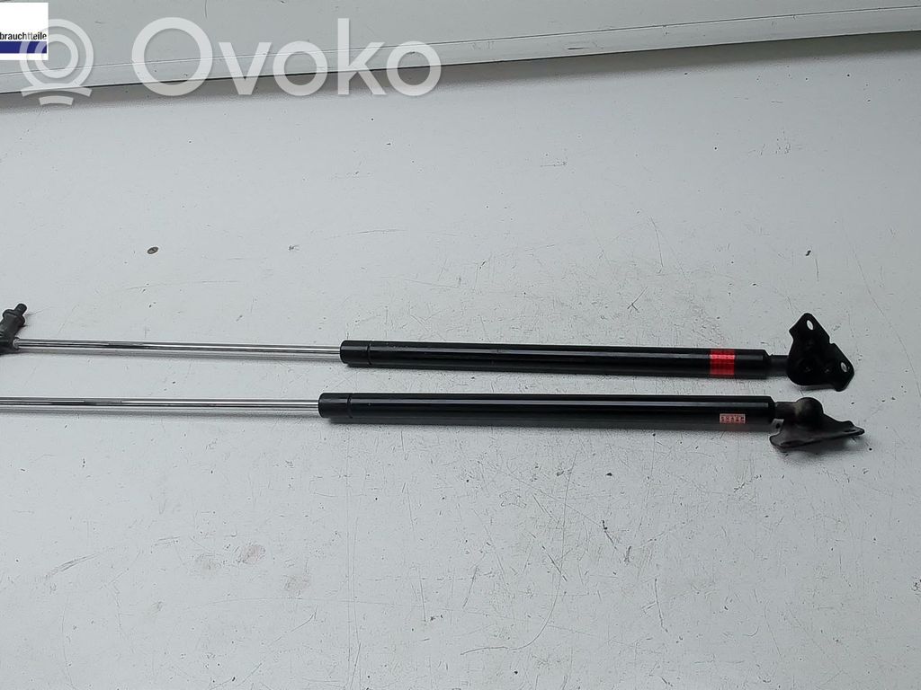 Tailgate/trunk strut/damper