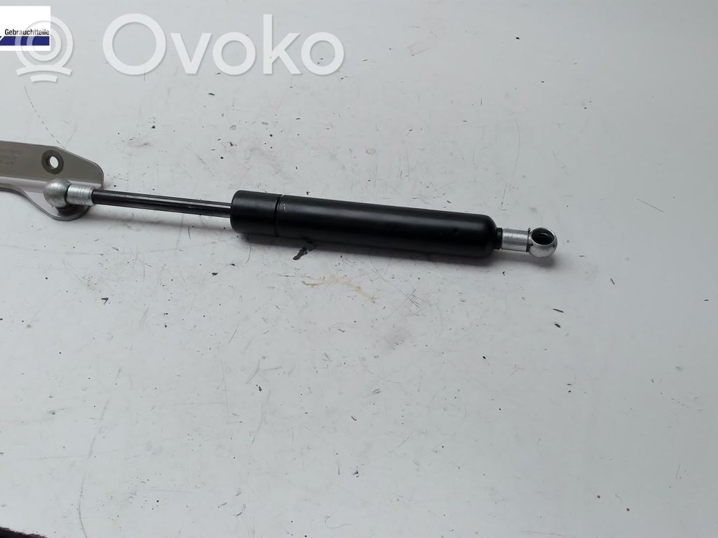 Tailgate/trunk strut/damper