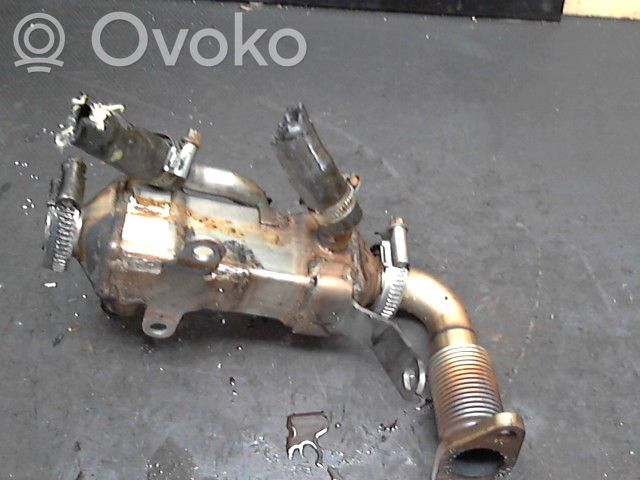 EGR vārsts