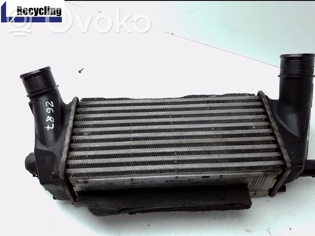 Ford B-MAX Intercooler hose/pipe 