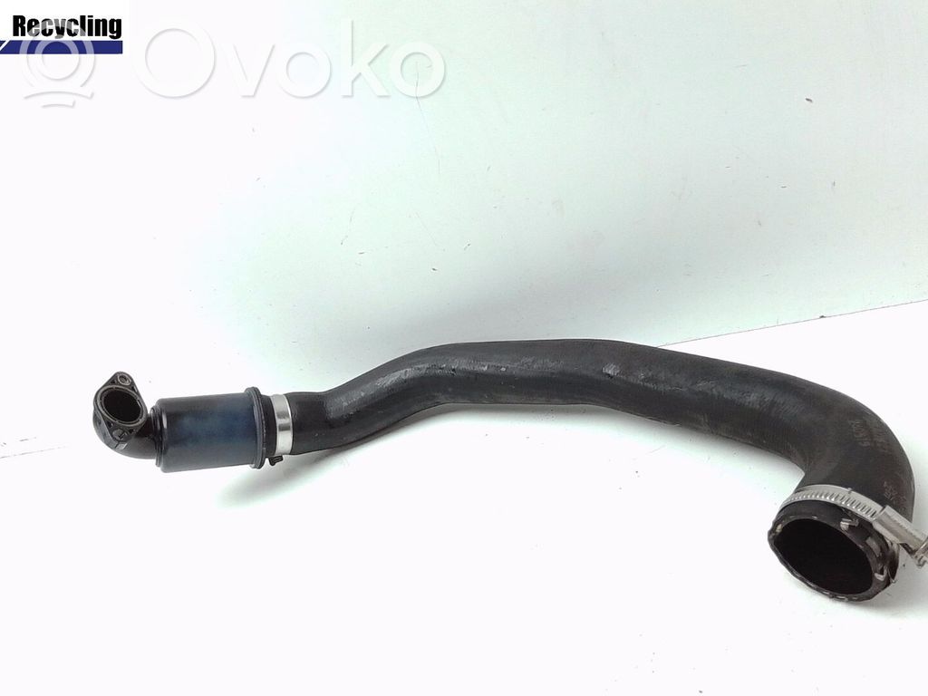 Intercooler hose/pipe   1870083,1853673
