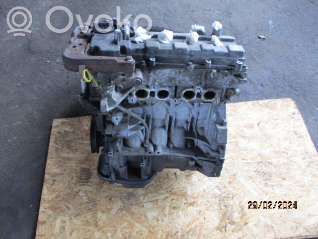 Variklis   10102AY2SB