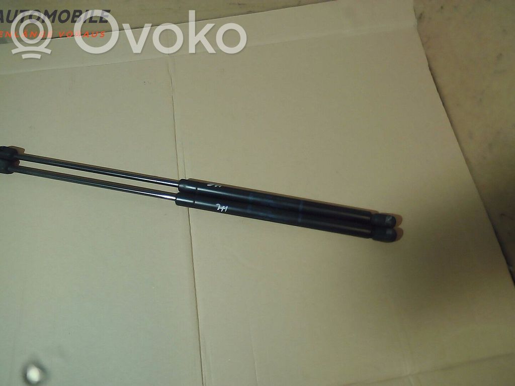 Tailgate/trunk strut/damper   1146649,1136483