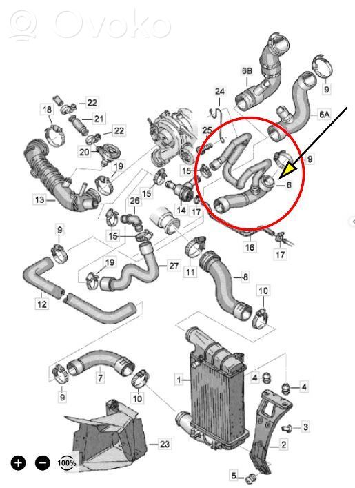 Volkswagen PASSAT B5 Interkūlera šļūtene (-es) / caurule (-es) 