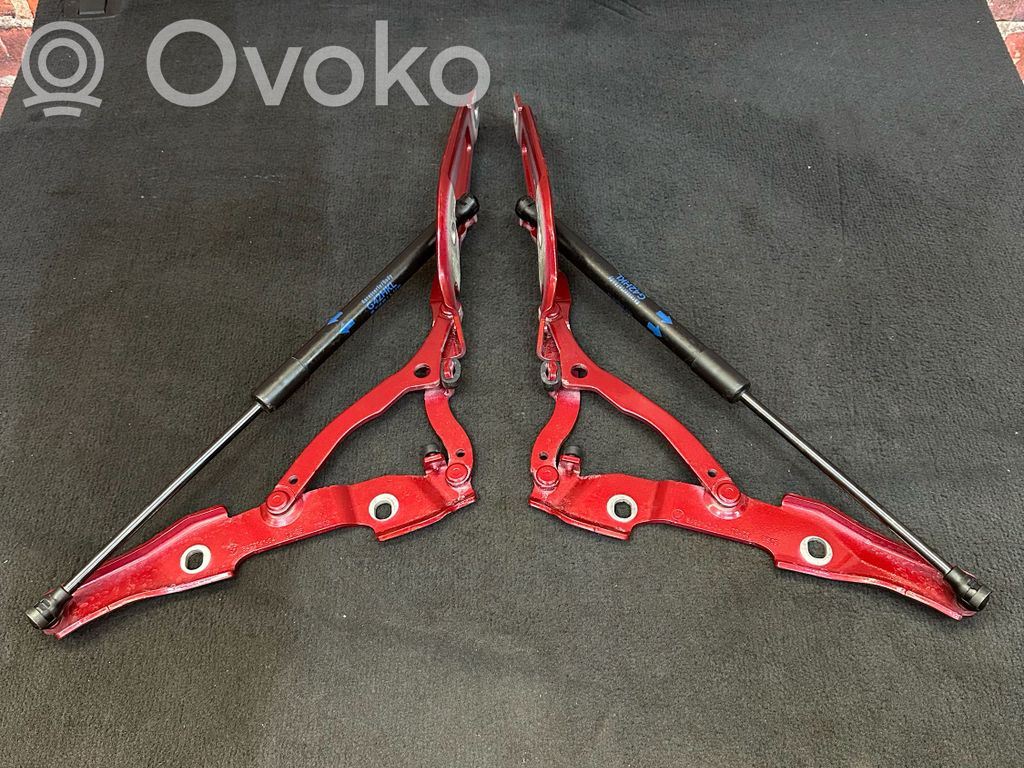BMW M2 G87 Loading door hinge set 