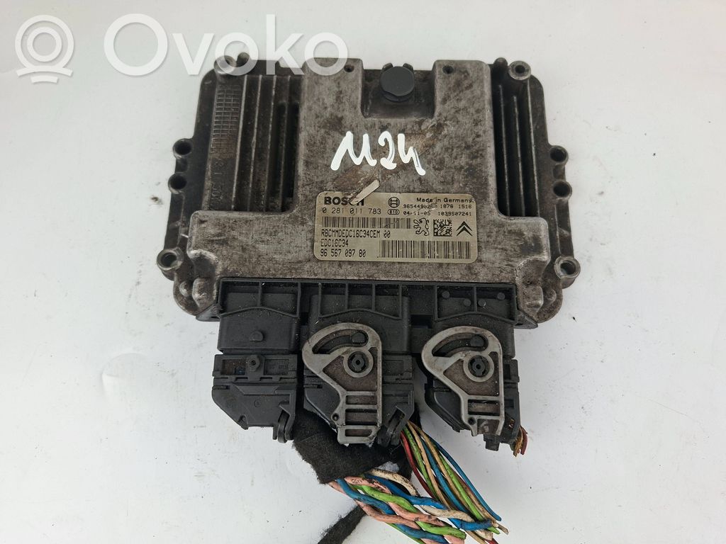 Peugeot 206 Engine control unit/module 