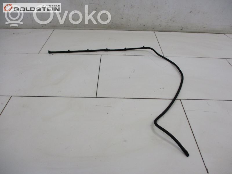 BMW X3 E83 Degvielas caurulīte (-es) 