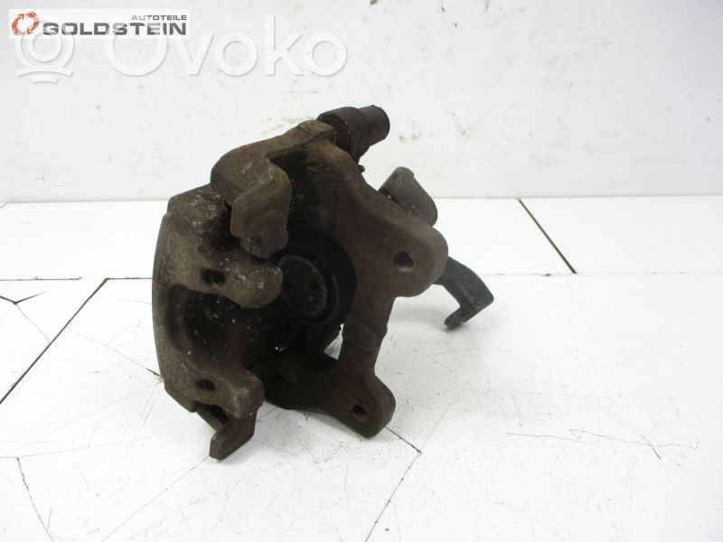 Takajarrusatula   JLM21461,JLM21461