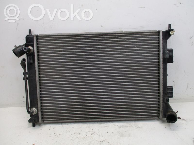 Radiator set   25310,3X101,25310,3X101