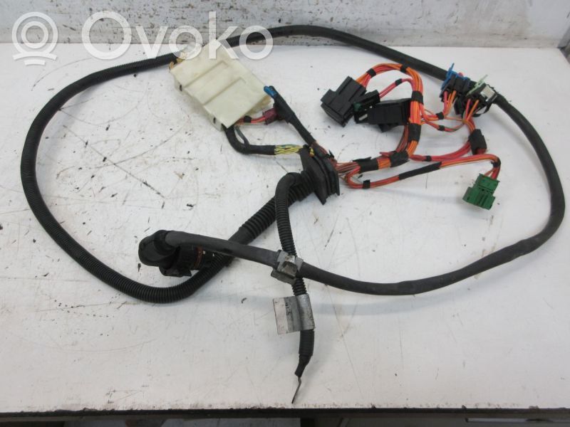 Other wiring loom   7545213,7545213