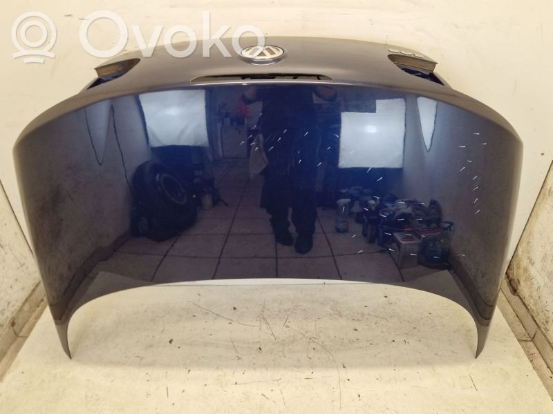 Tailgate/trunk/boot lid