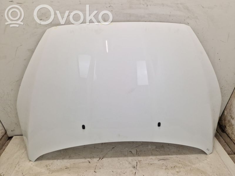 Engine bonnet/hood