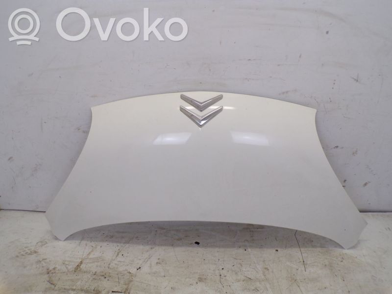 Dzinēja pārsegs (vāks)