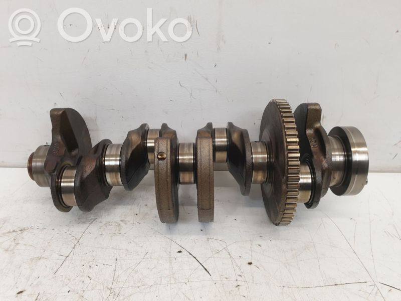 Crankshaft   8681623,8681623