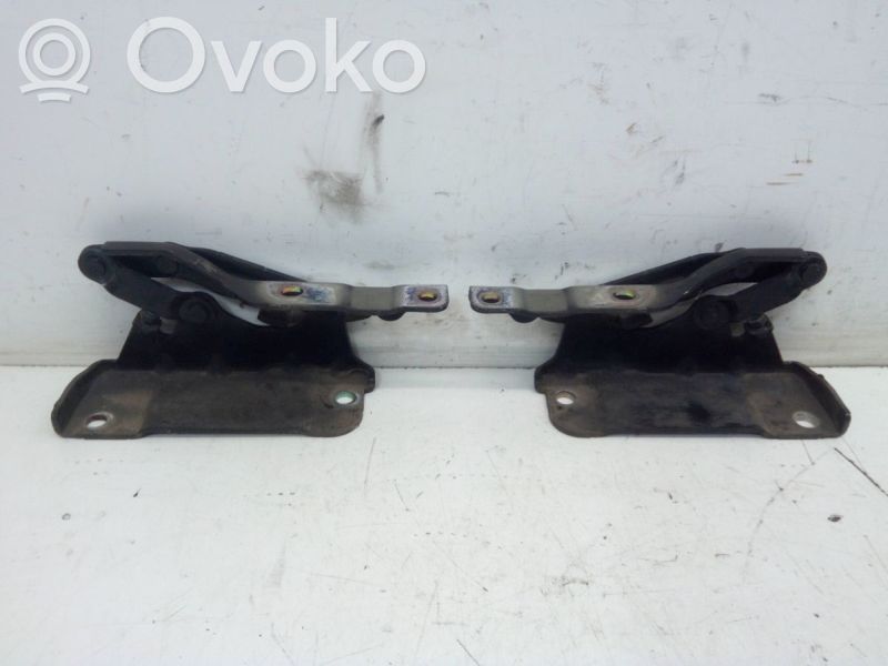 Zawiasy pokrywy / maski silnika   79120C6000,79110C6000,79110C6000,79120C6000