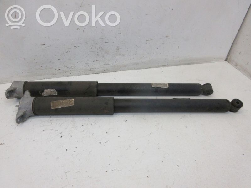 Ford Focus Amortizor spate 