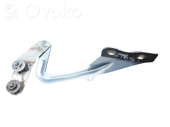 Cerniere del vano motore/cofano   1595456