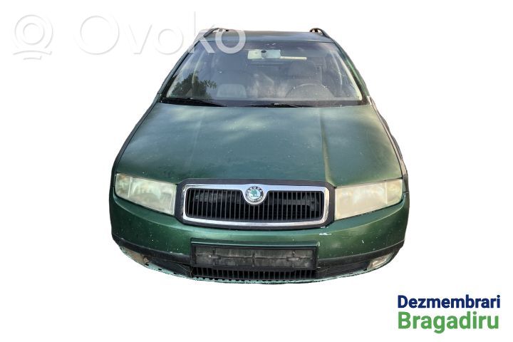 Skoda Fabia Mk1 (6Y) Drzwi przednie 