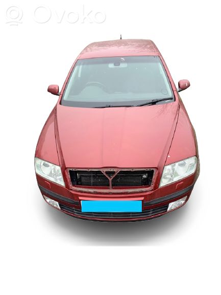Skoda Octavia Mk2 (1Z) Amortyzator tylny 