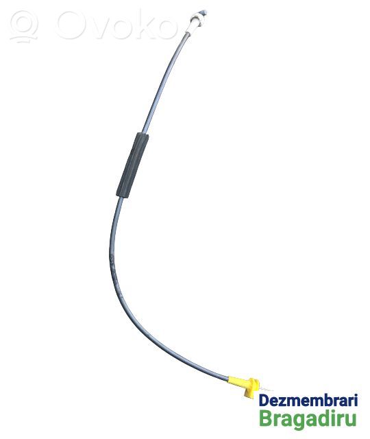 Línea de cable puerta delantera   99780310305