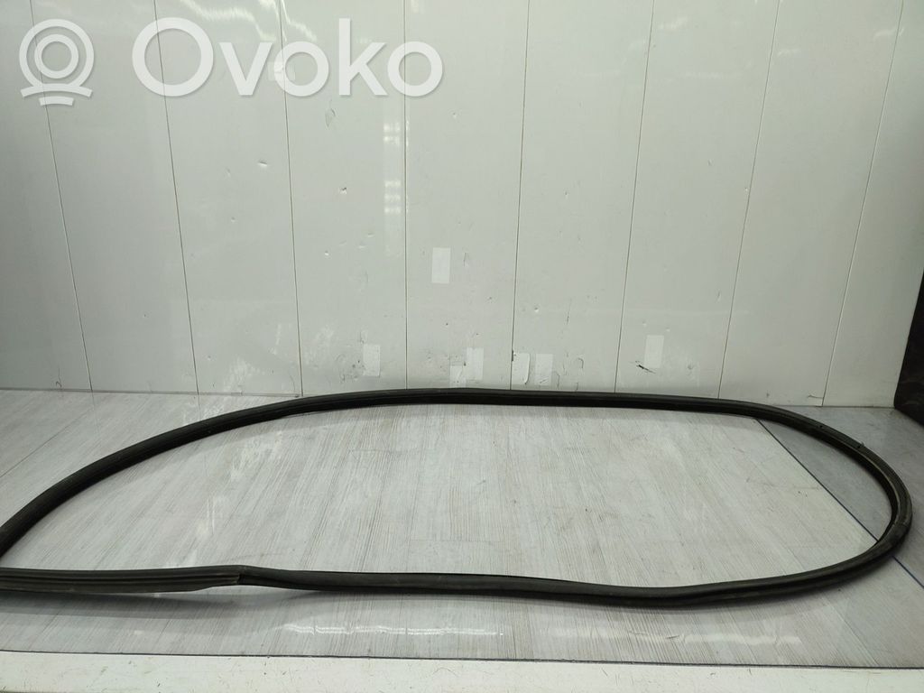BMW 3 E92 E93 Front door rubber seal 
