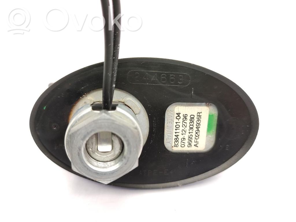 Citroen C5 Radion antenni 