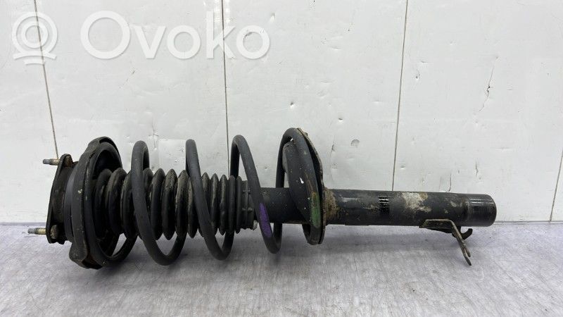 Ford Focus Priekšpusē amortizators ar atsperi 