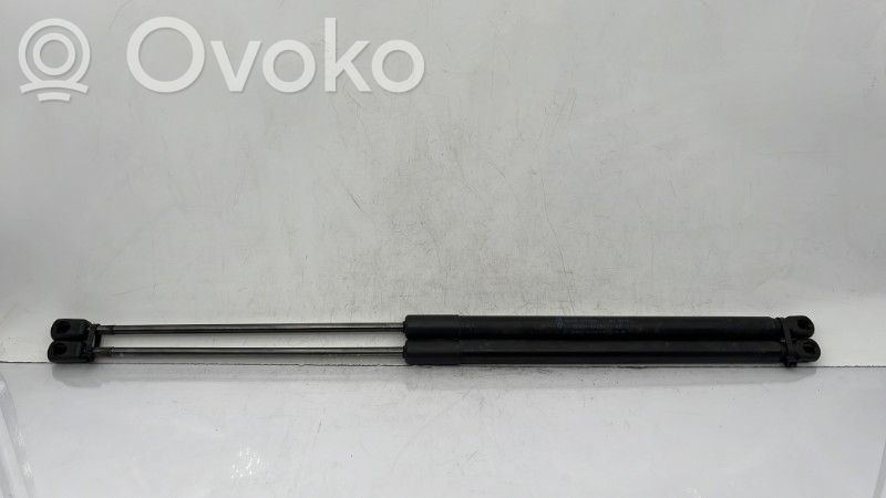 Tailgate/trunk strut/damper   1747492