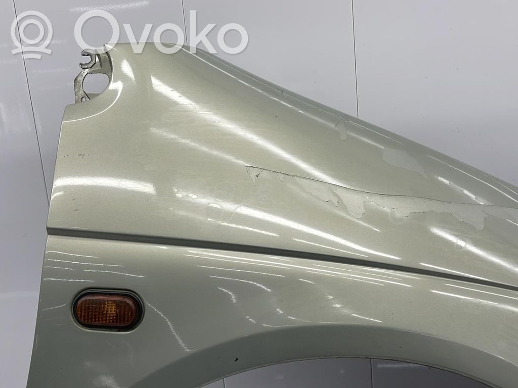 Renault Scenic I Guardabarro 