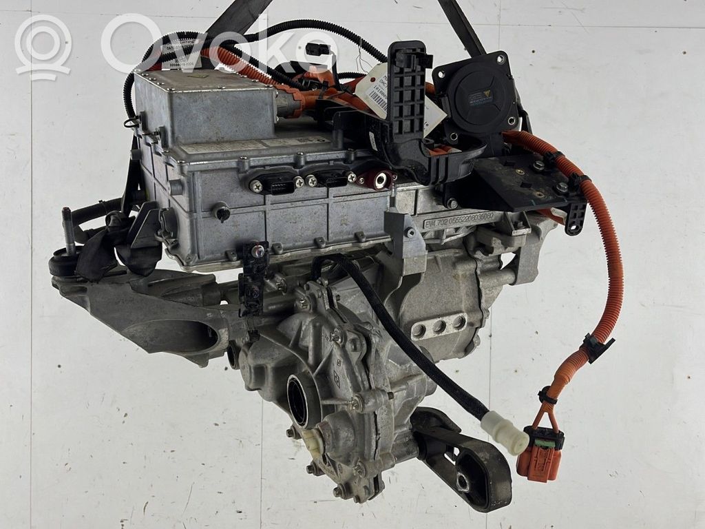 Variklis   290101552R