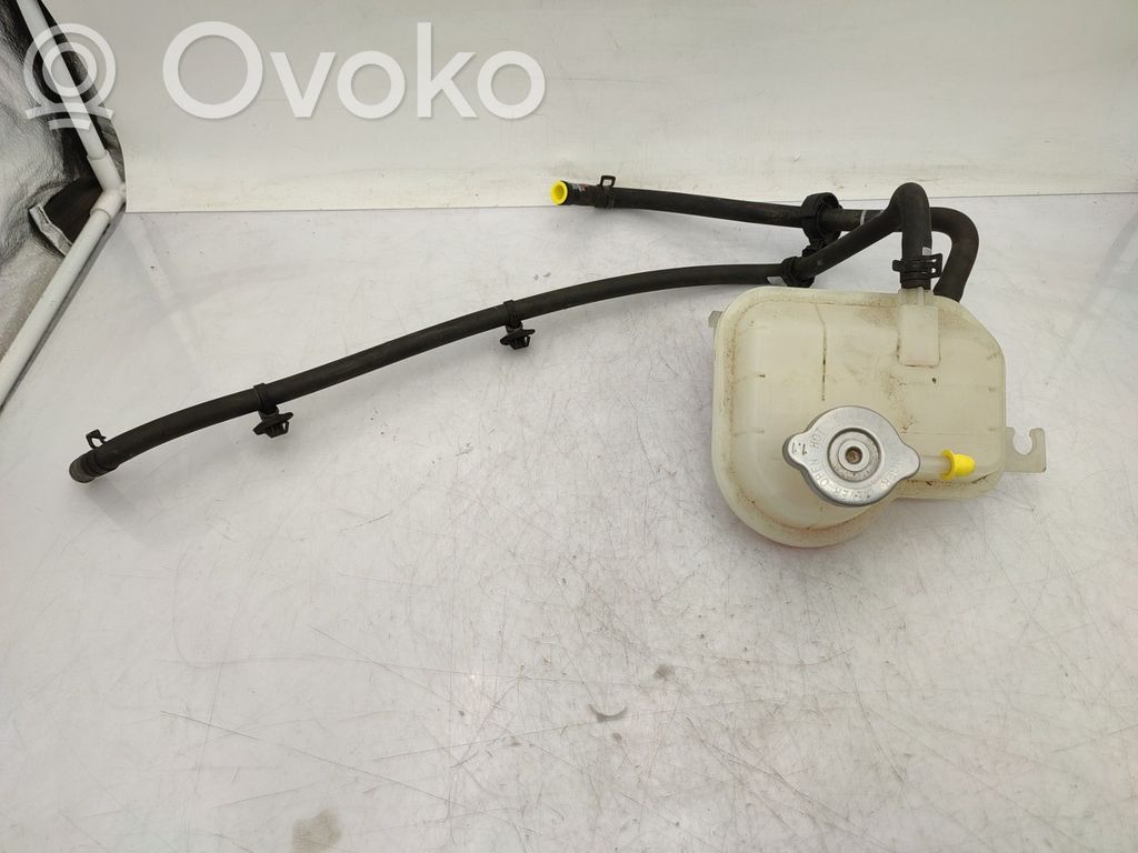 Dacia Spring Korek zbiornika wyrównawczego chłodziwa 