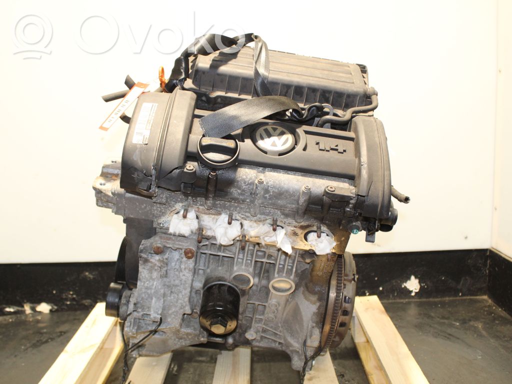 Volkswagen Golf V Silnik 