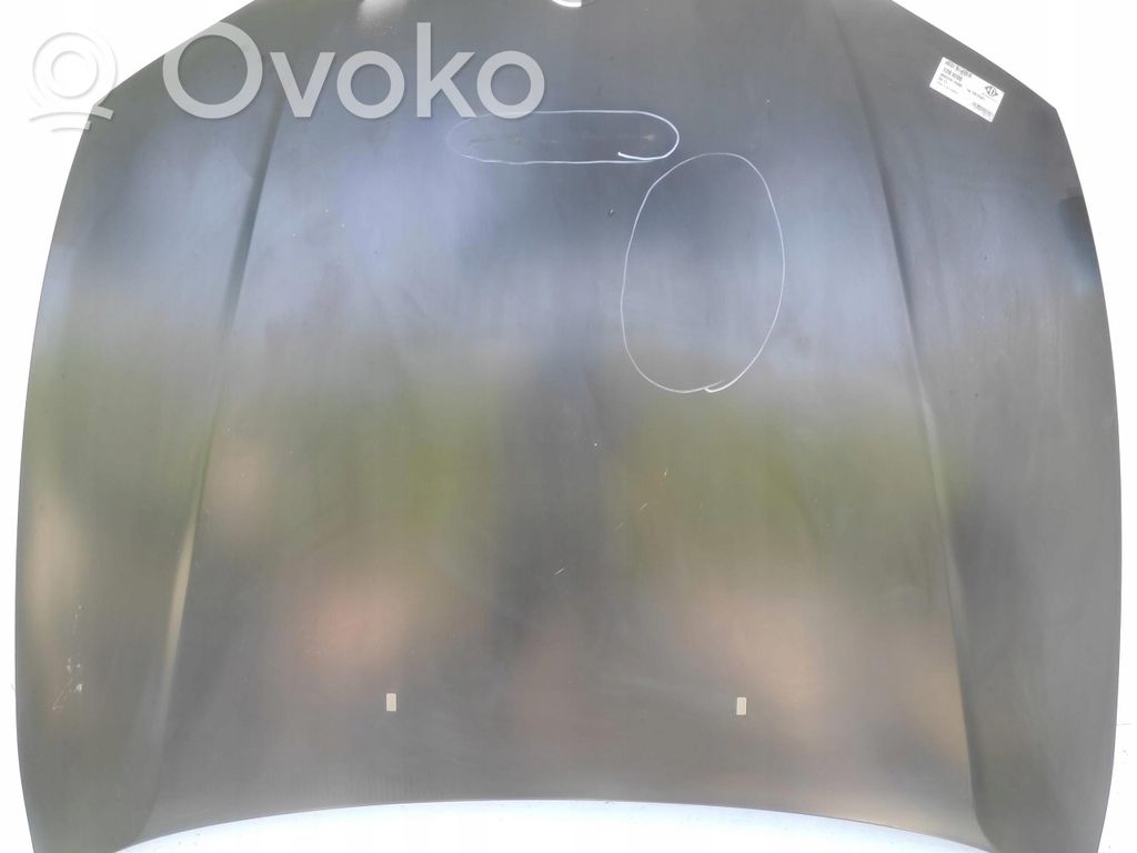 BMW 1 E81 E87 Engine bonnet/hood 