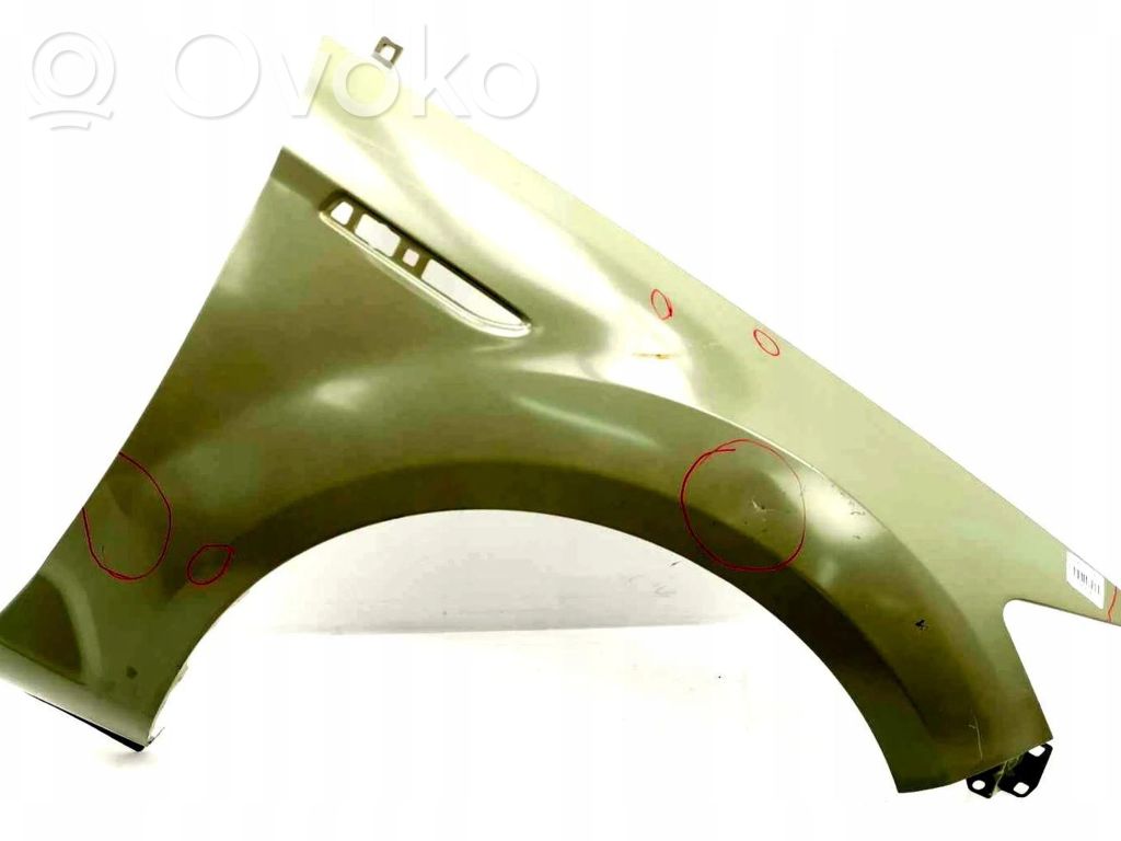Guardabarro   1428006