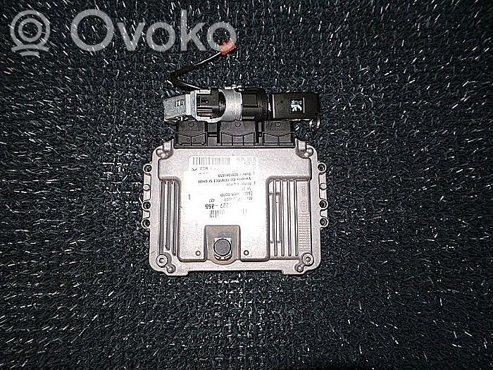 Peugeot 407 Engine control unit/module 