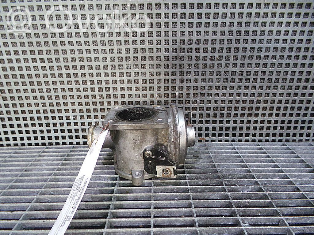 EGR valve   7791480