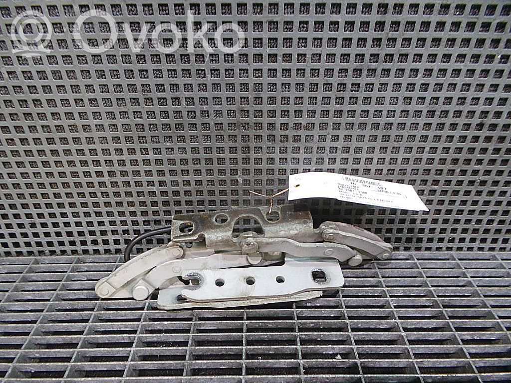 Engine bonnet/hood hinges   41617210671