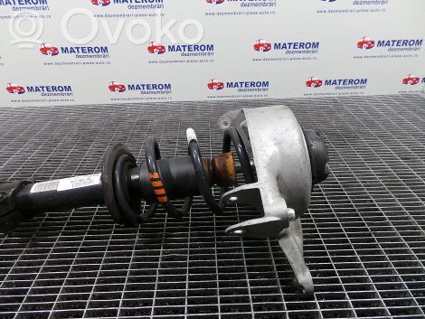 Audi A4 S4 B8 8K Front coil spring 